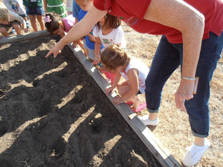 The Academy Of Living Literacy